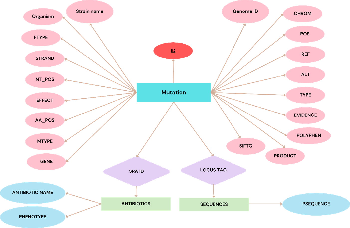 AbvarDB Database Schema